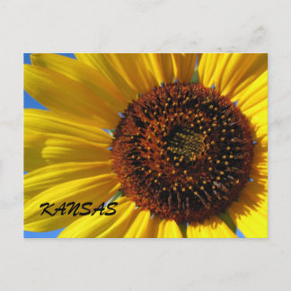 SUNFLOWER STATE VYKORT