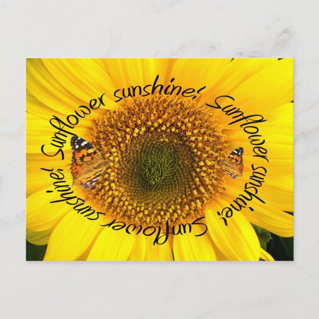 SUNFLOWER SUNSHINE ~ POstcard Vykort (Framsida)