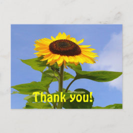 SUNFLOWER TACK ~ Postcard Vykort