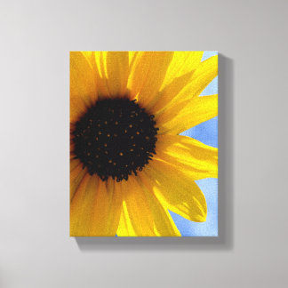 ~SuNFLoWeR TRioN CaNVaS #1~