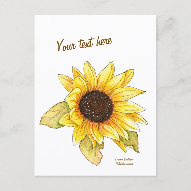 Sunflower watercolor customizable postcard vykort (Framsida)