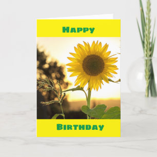 SUNFLOWERS BRIGHTEN DIN DAG GRATTIS PÅ FÖDELSEDAGE KORT