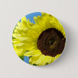 SUNFLOWERS Buttons Bright Sunny Sol Flowers Knapp