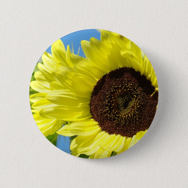 SUNFLOWERS Buttons Bright Sunny Sol Flowers Knapp (Framsida)
