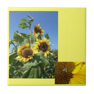 Sunflowers Ceramic Tile Kakelplatta