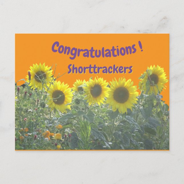 Sunflowers Congratulations Cust. Text Postcard Vykort (Framsida)