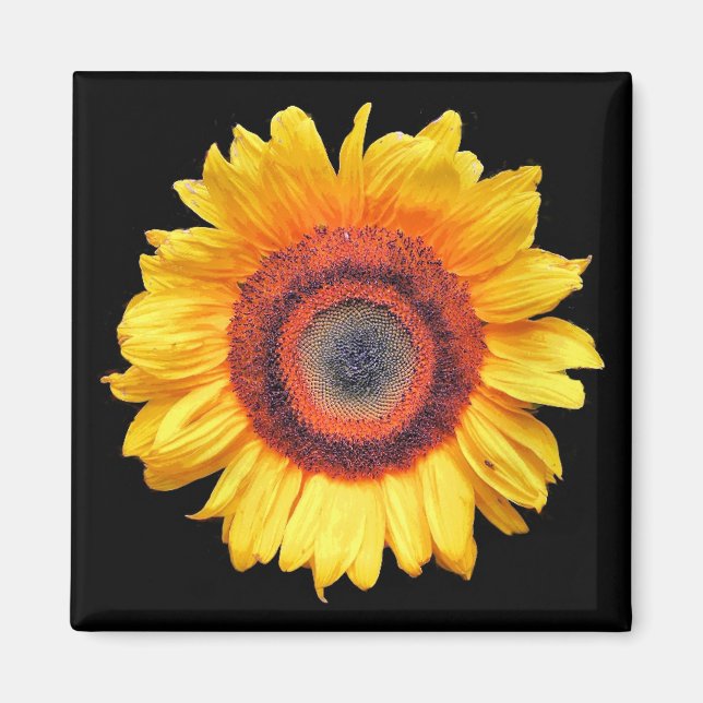 SUNFLOWERS MAGNET (Framsidan)