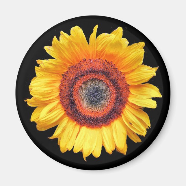SUNFLOWERS MAGNET (Framsidan)