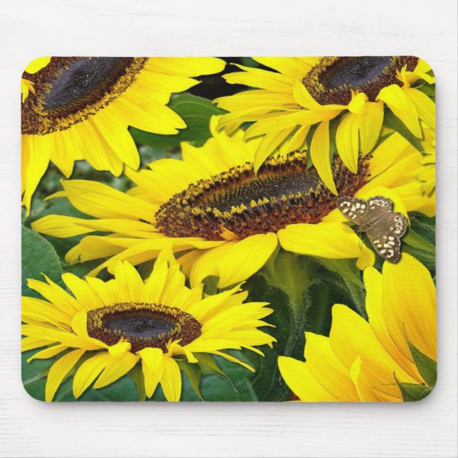 SUNFLOWERS ~ Mousepad Musmatta (Framsidan)