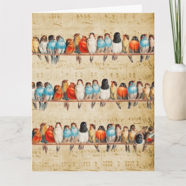 Sungerar och kvittrar     kort (Framsida)