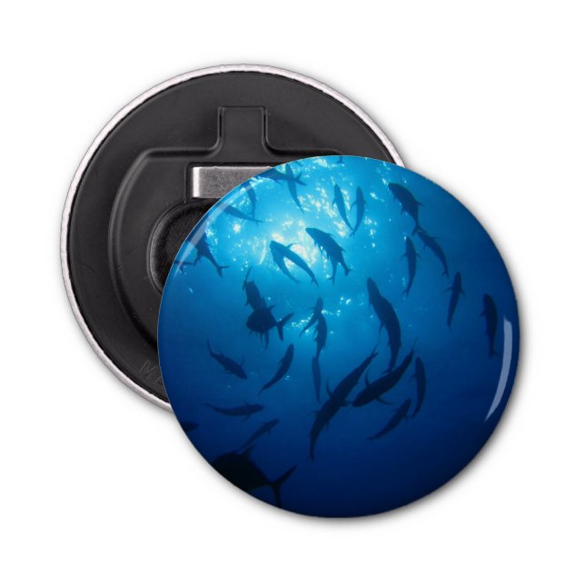 Sunlight and Shoal under Sea Flasköppnare (Framsidan)