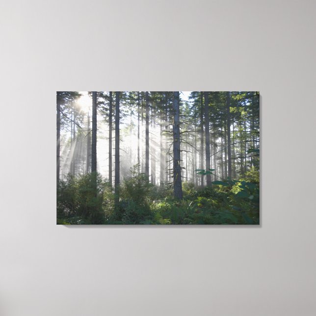 Sunlight Breaking through a Misty Forest Canvastryck (Framsida)
