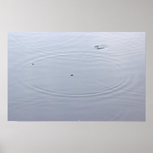 Sunlight Circles in Pond Poster