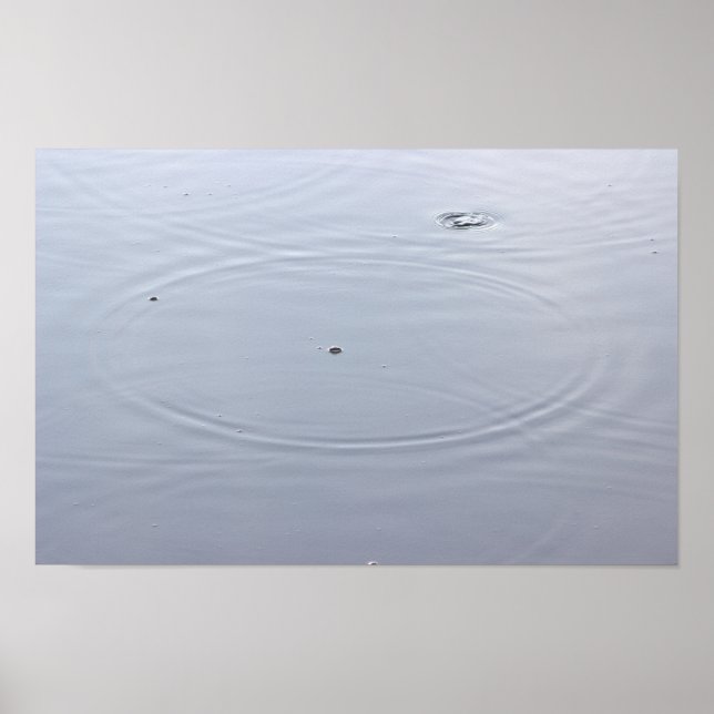 Sunlight Circles in Pond Poster (Framsidan)