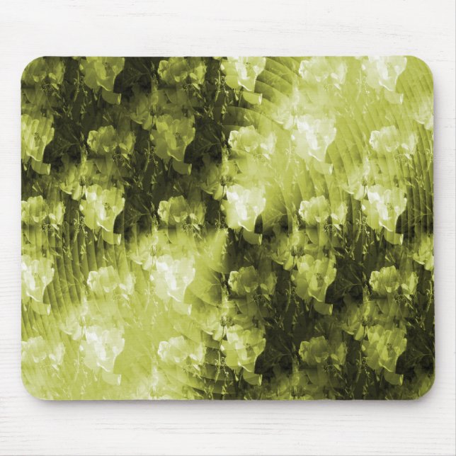 Sunlight Dreams.. Musmatta (Framsidan)