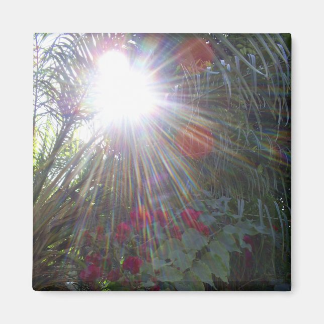 Sunlight Garden Magnet (Framsidan)