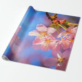 Sunlight on Sakura Flowers Presentpapper