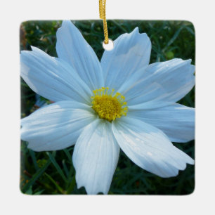 Sunlight on White Cosmos Flower Blommigt Julgransprydnad Keramik