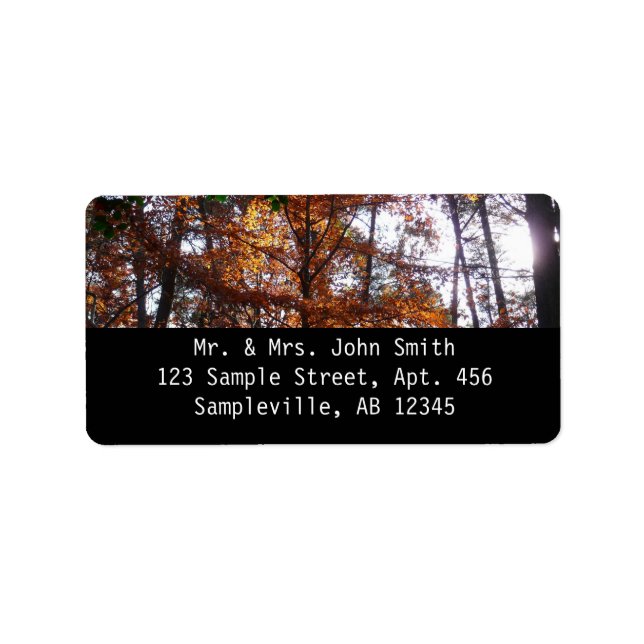 Sunlight through Fall Träd vid Greenbelt Adressetikett (Framsidan)