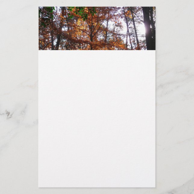 Sunlight through Fall Träd vid Greenbelt Brevpapper (Framsida)