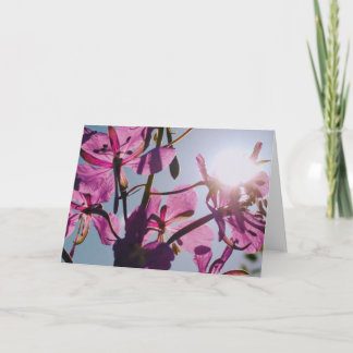 Sunlight through Flowers Greeting Card Kort