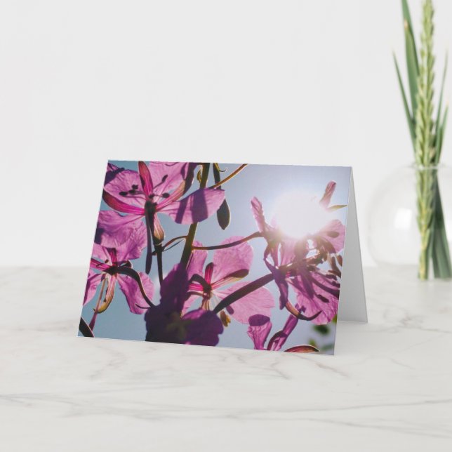 Sunlight through Flowers Greeting Card Kort (Framsida)