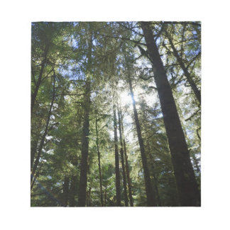 Sunlight Through Pine Trees Anteckningsblock