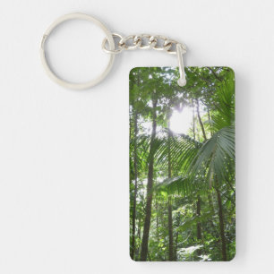 Sunlight through Rainforest Canopy Tropical Grönt