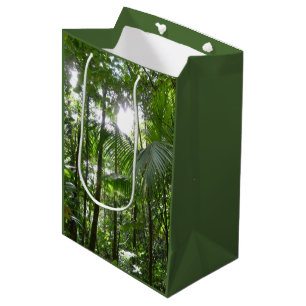 Sunlight through Rainforest Canopy Tropical Grönt