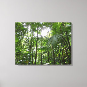 Sunlight through Rainforest Canopy Tropical Grönt Canvastryck