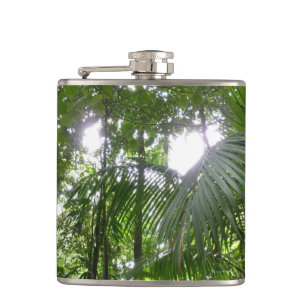Sunlight through Rainforest Canopy Tropical Grönt Fickplunta
