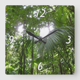 Sunlight through Rainforest Canopy Tropical Grönt Fyrkantig Klocka