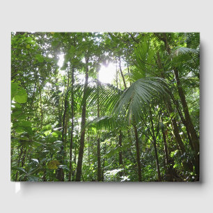 Sunlight through Rainforest Canopy Tropical Grönt Gästböcker