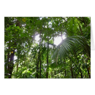 Sunlight through Rainforest Canopy Tropical Grönt Hälsningskort