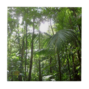 Sunlight through Rainforest Canopy Tropical Grönt Kakelplatta