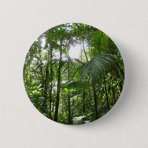 Sunlight through Rainforest Canopy Tropical Grönt Knapp