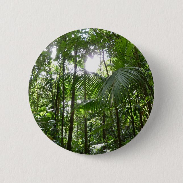 Sunlight through Rainforest Canopy Tropical Grönt Knapp (Framsida)