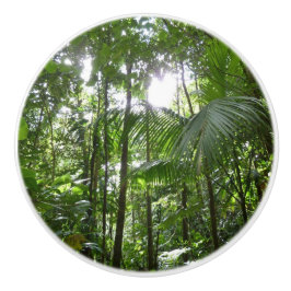 Sunlight through Rainforest Canopy Tropical Grönt Knopp