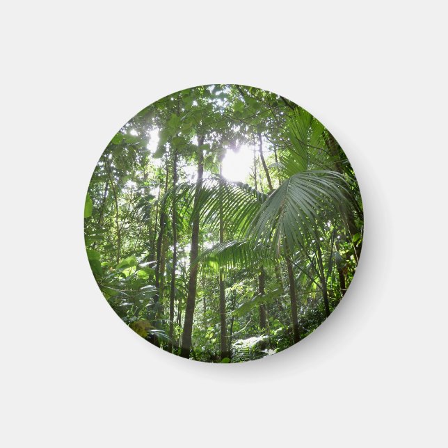 Sunlight through Rainforest Canopy Tropical Grönt Magnet (Framsidan)