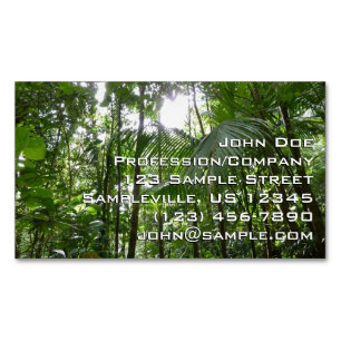 Sunlight through Rainforest Canopy Tropical Grönt Magnetiska Visitkort