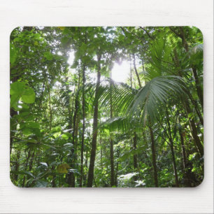 Sunlight through Rainforest Canopy Tropical Grönt Musmatta