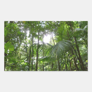 Sunlight through Rainforest Canopy Tropical Grönt Rektangulärt Klistermärke