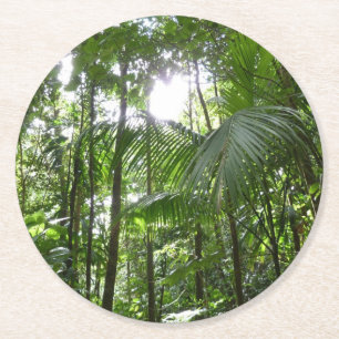 Sunlight through Rainforest Canopy Tropical Grönt Underlägg Papper Rund