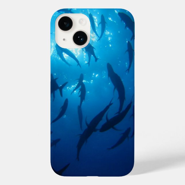 Sunlight under Sea Shoal of Fish (Baksida)