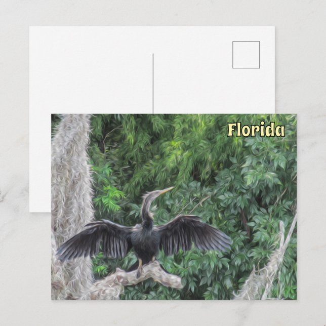 Sunlit Anhinga on a Mossy Gren - Oil Painting St Vykort (Fram/baksida)