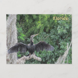 Sunlit Anhinga on a Mossy Gren - Oil Painting St Vykort