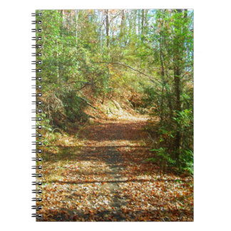 Sunlit Autumn Forest Trail Anteckningsbok