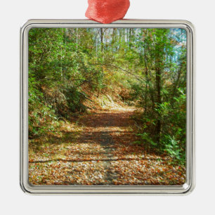Sunlit Autumn Forest Trail Julgransprydnad Metall