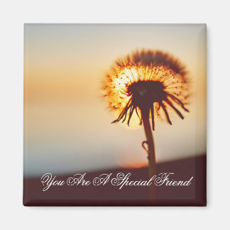 Sunlit Dandelion Vänskap Quote Magnet