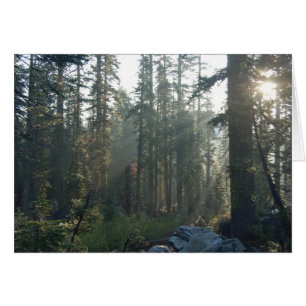 Sunlit ensamhet hälsningskort